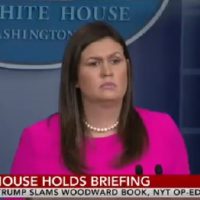 WATCH: MSM Asked Sanders About Using 25th Amendment To Remove Potus, She Shut Them Down QUICK!